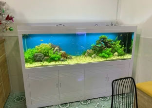 CỬA HÀNG CÁ CẢNH SAN HÔ