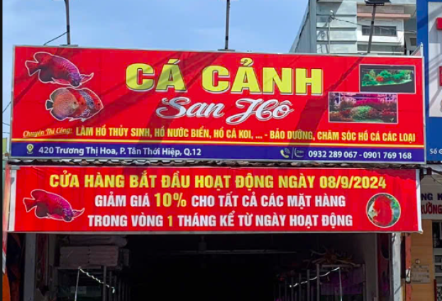 CỬA HÀNG CÁ CẢNH SAN HÔ