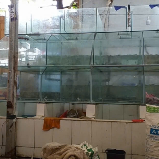 Mẫu hồ hải sản- D5