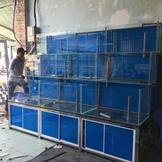 Mẫu hồ hải sản- D6