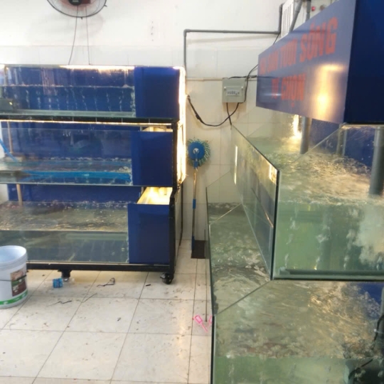 Mẫu hồ hải sản- D3