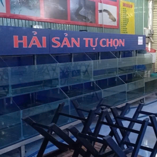 Mẫu hồ hải sản- D10