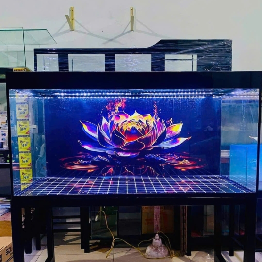 Mẫu hồ cá rồng- B2