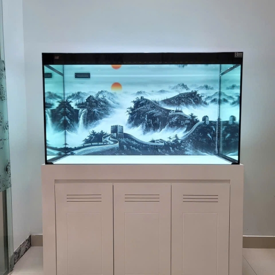 Mẫu hồ cá rồng- B3