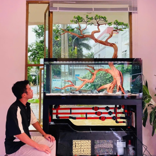 Mẫu hồ cá rồng- B4